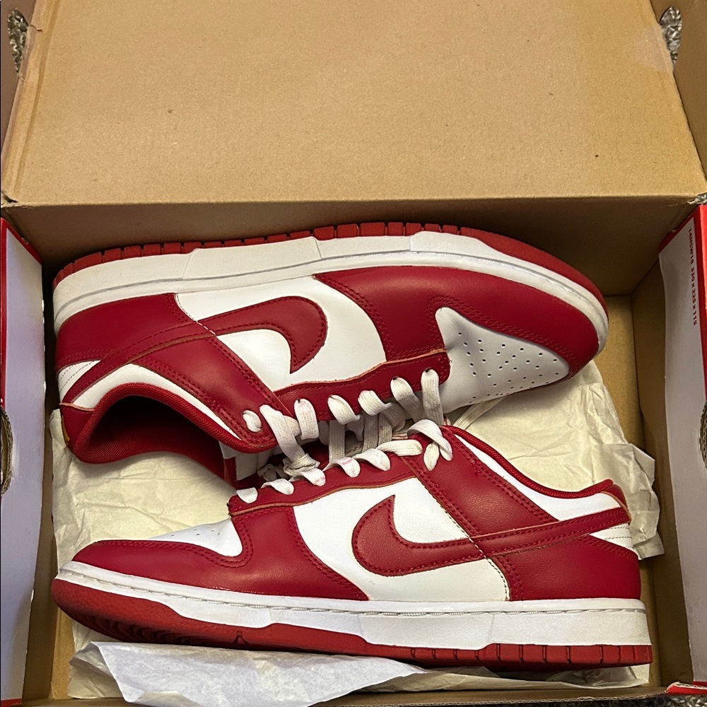 Nike Dunk Low Retro
